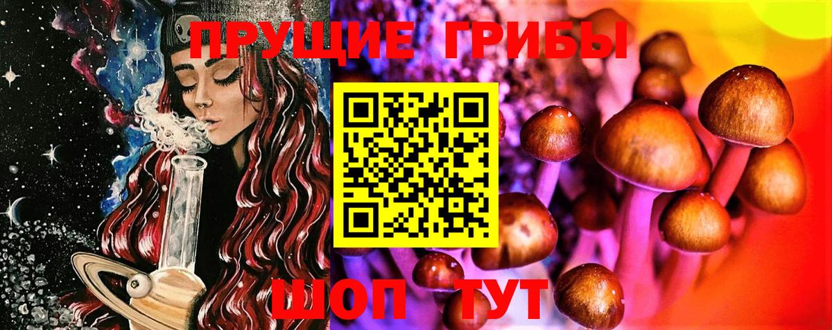 Галлюциногенные грибы Psilocybe  Галлюциногенные грибы Cubensis  Вичуга  Вход с VPN 