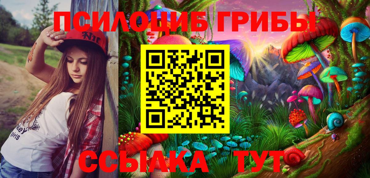 Галлюциногенные грибы Cubensis Вичуга